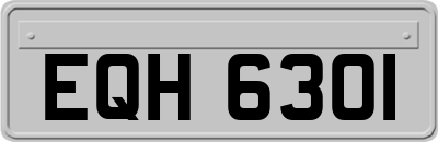 EQH6301