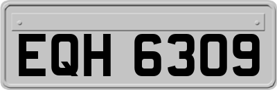 EQH6309