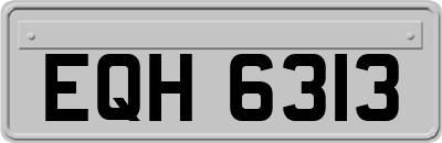 EQH6313