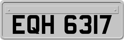 EQH6317
