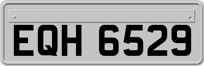 EQH6529