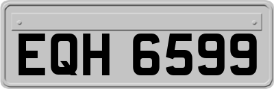 EQH6599