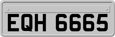 EQH6665