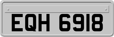 EQH6918