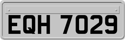EQH7029
