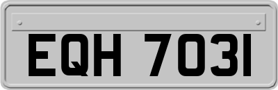 EQH7031