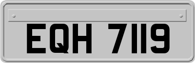 EQH7119