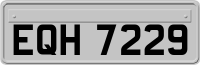 EQH7229