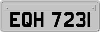 EQH7231