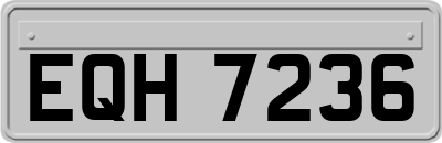 EQH7236