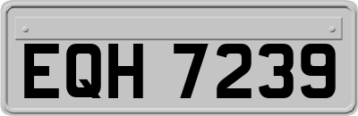 EQH7239