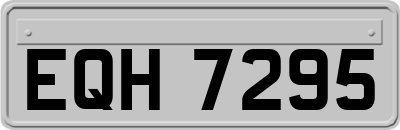EQH7295