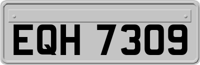 EQH7309