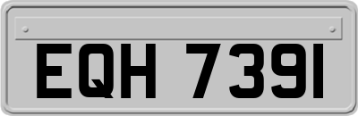 EQH7391