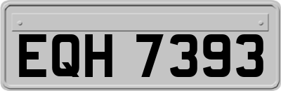 EQH7393