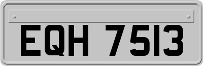 EQH7513