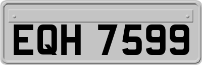 EQH7599