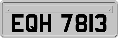 EQH7813