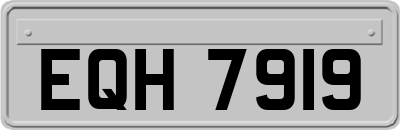 EQH7919