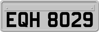 EQH8029