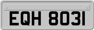 EQH8031