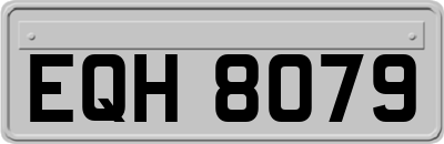 EQH8079