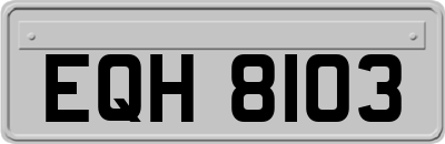 EQH8103