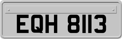 EQH8113