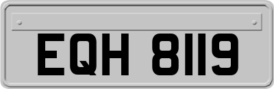EQH8119
