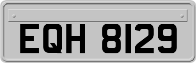 EQH8129