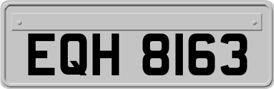 EQH8163