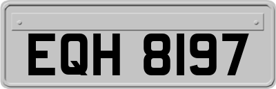 EQH8197