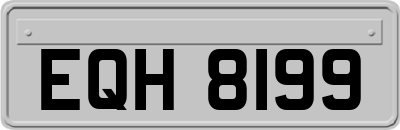 EQH8199