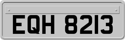 EQH8213