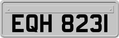 EQH8231