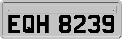 EQH8239