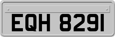 EQH8291