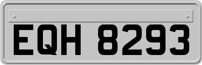 EQH8293