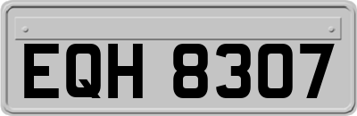 EQH8307