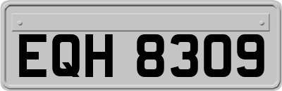 EQH8309