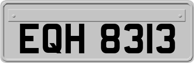 EQH8313