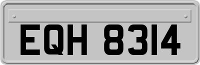 EQH8314