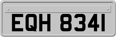 EQH8341