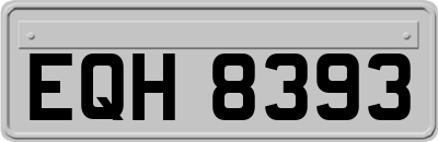 EQH8393