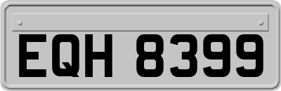 EQH8399