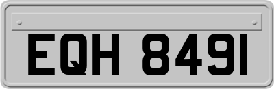 EQH8491