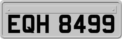 EQH8499