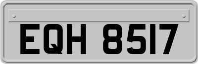 EQH8517