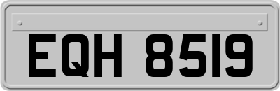 EQH8519