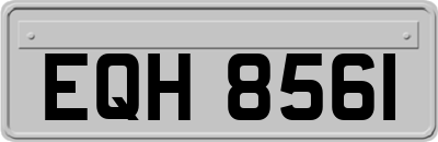 EQH8561
